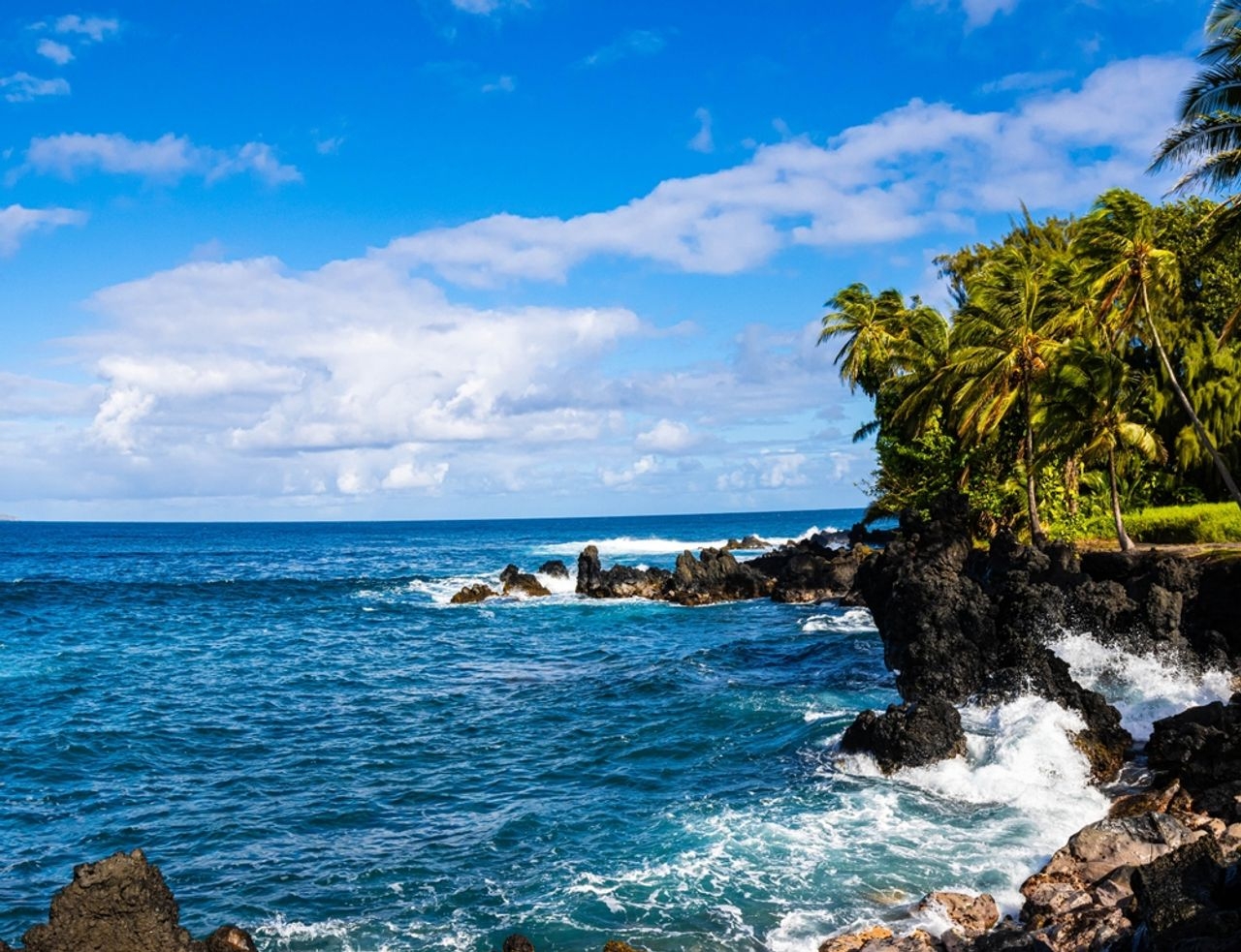 Shore excursion image of Scenic Maui Coastal Drive