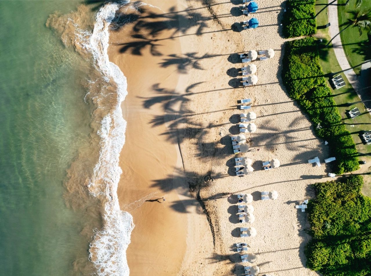 Shore excursion image of Wailea Beach Escape