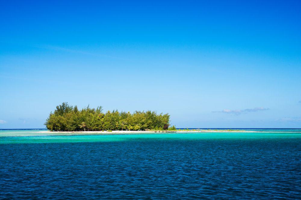 Lagoon Cruise & Motu Picnic