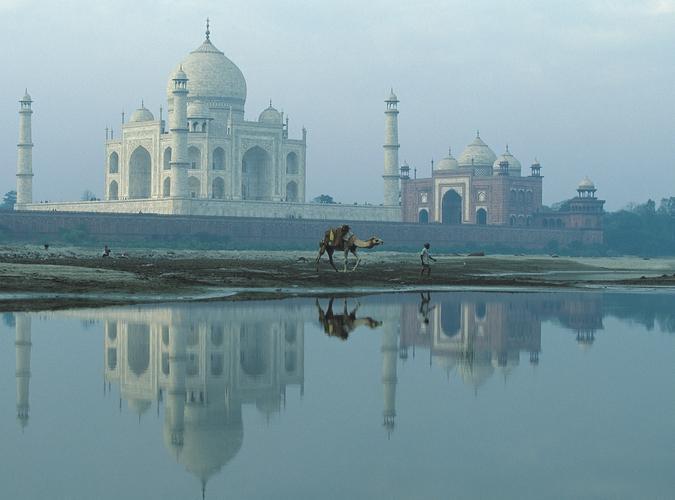 Extension TAJ & TIGERS: FROM MAJESTIC PALACES TO WILD JUNGLES picture
